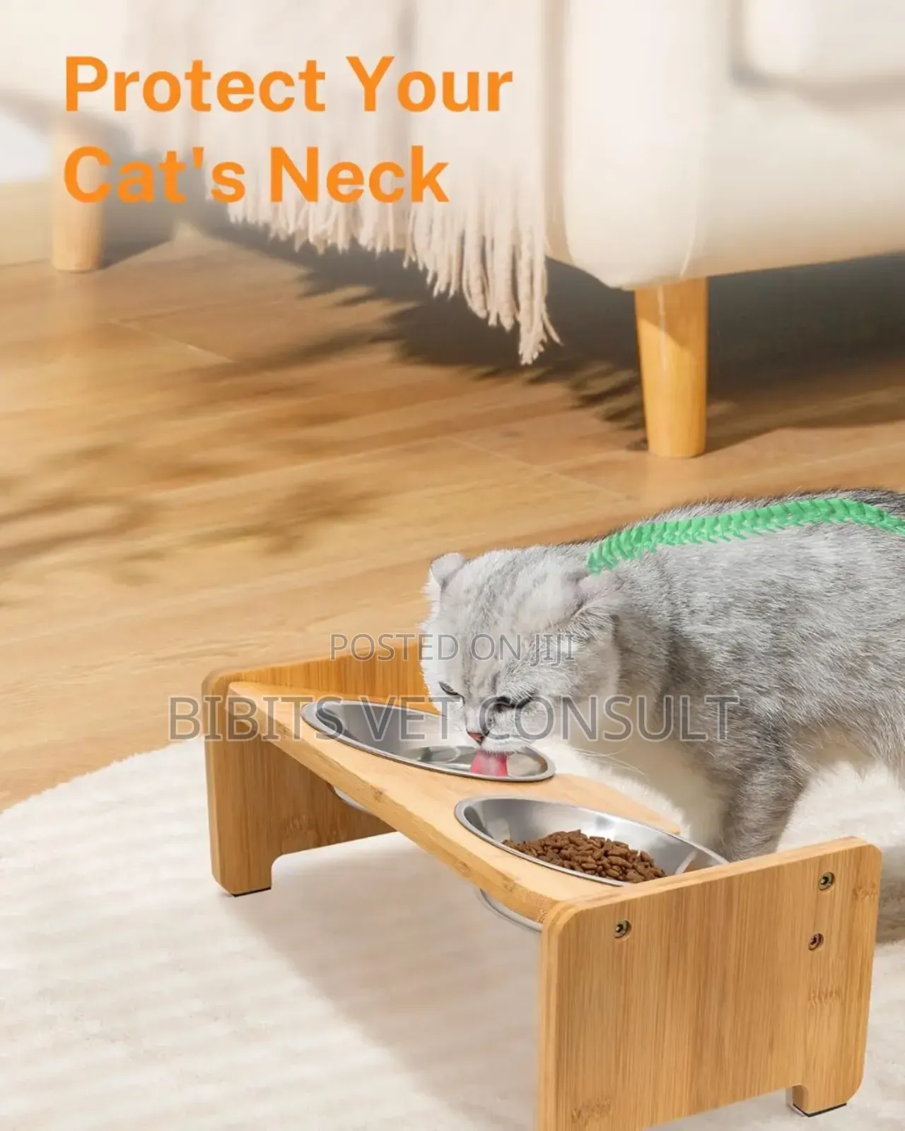 Elevated Cat Dog Double Bowl With 15° Tilt Adjustable