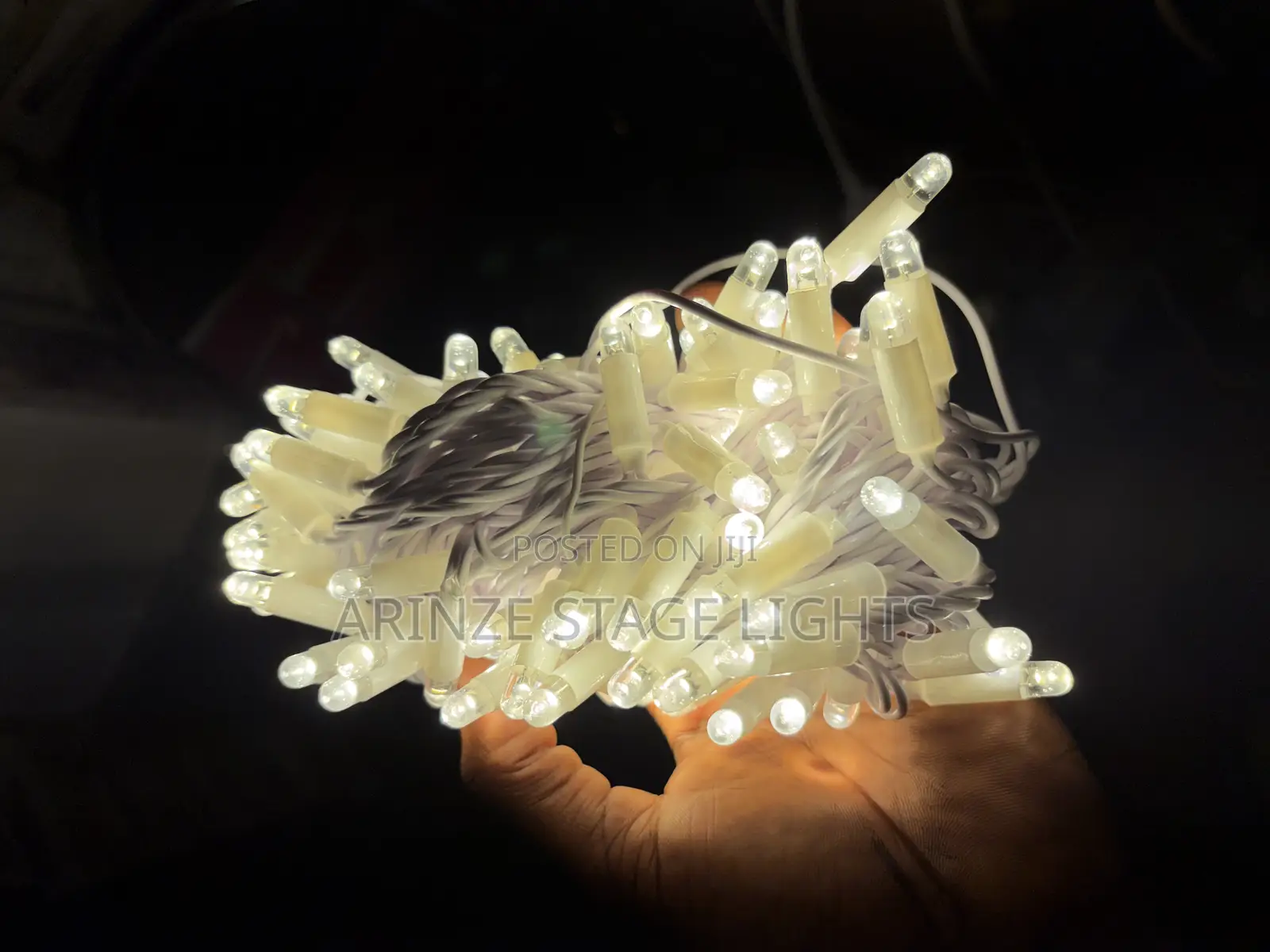100bulbs Outdoors Led Rice Light