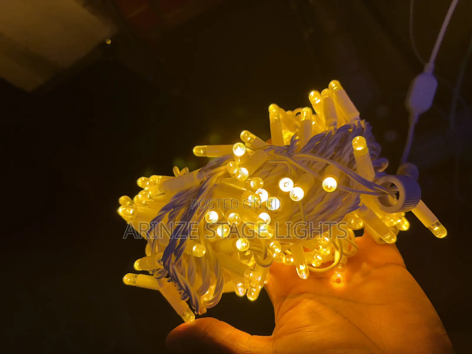 100bulbs Outdoors Led Rice Light