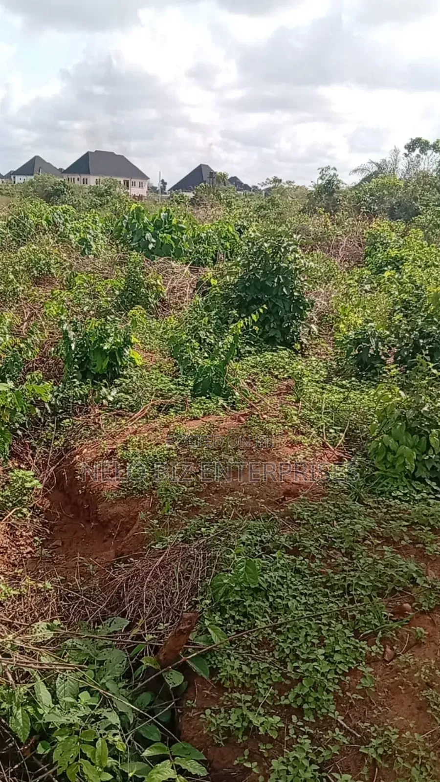 A Plot of Land Available for Sale