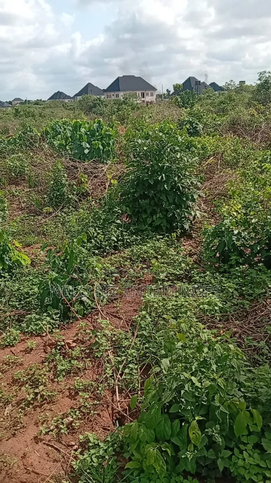 A Plot of Land Available for Sale
