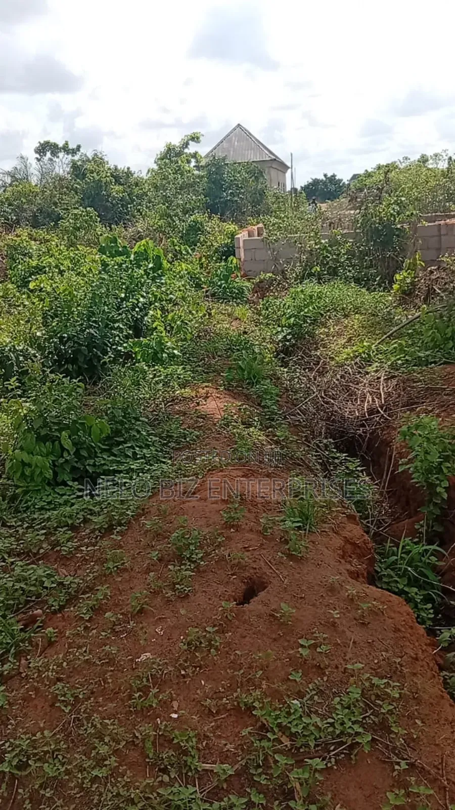 A Plot of Land Available for Sale