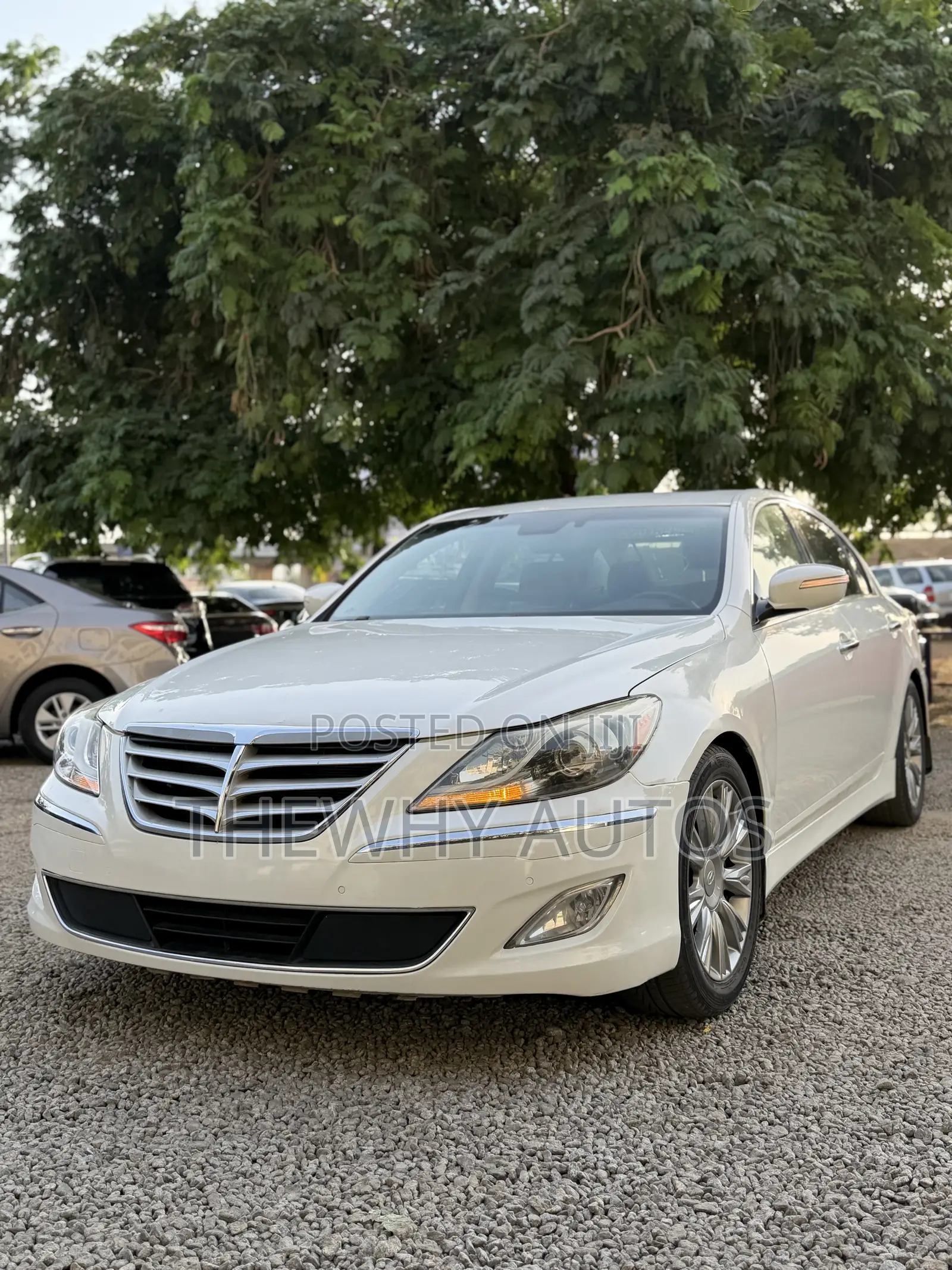 Hyundai Genesis 3.8 2013 White