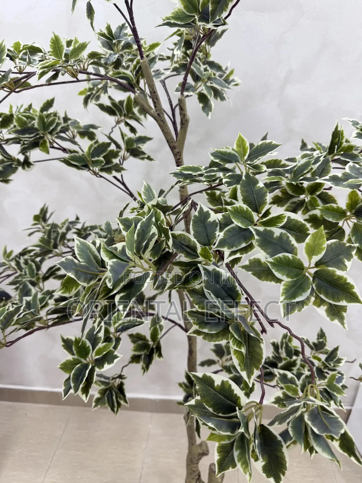 White Edge Banyan Tree | Luxury Artificial Plant for Interior Decor