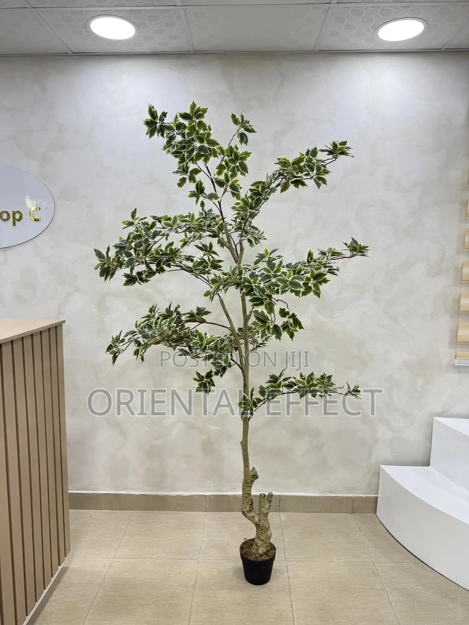 White Edge Banyan Tree | Luxury Artificial Plant for Interior Decor