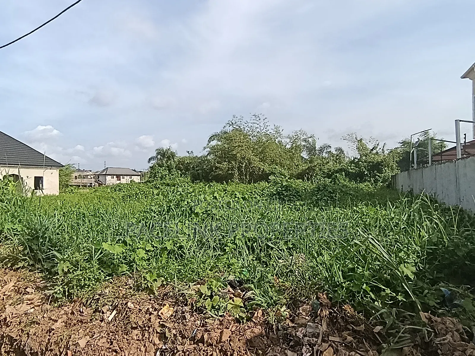 Half Plot of Land in a Very Decent