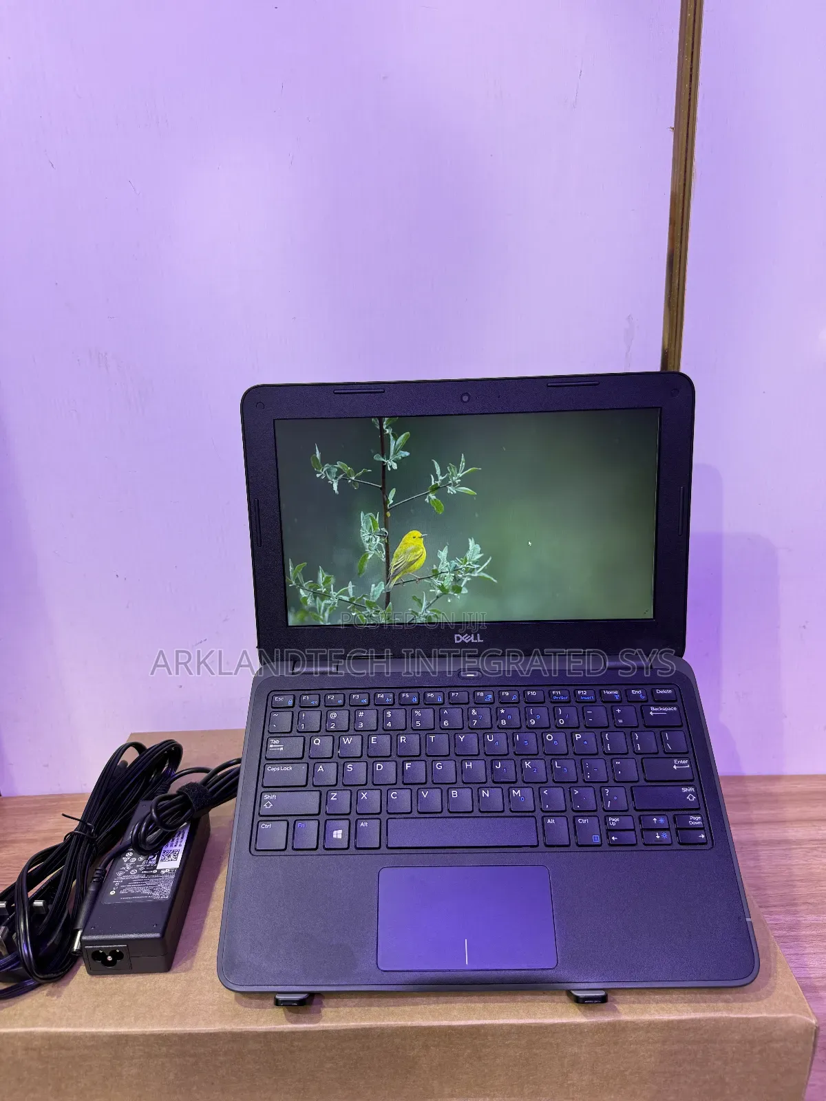 New Laptop Dell Latitude 3420 4GB Intel Celeron SSD 60GB