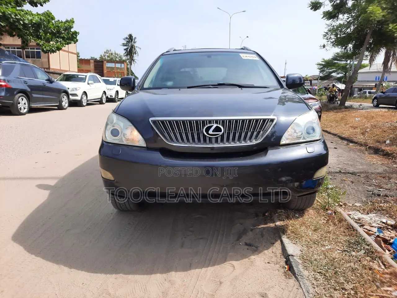Lexus RX 2004 Blue