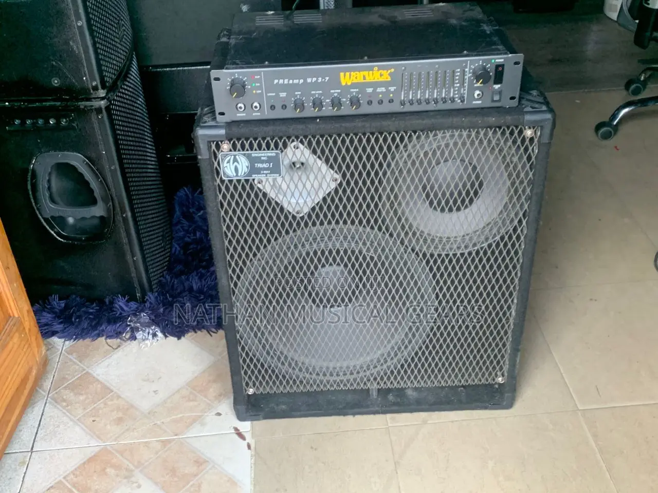 SWR Triad1bass Cabinet/Pre Amp Warwick