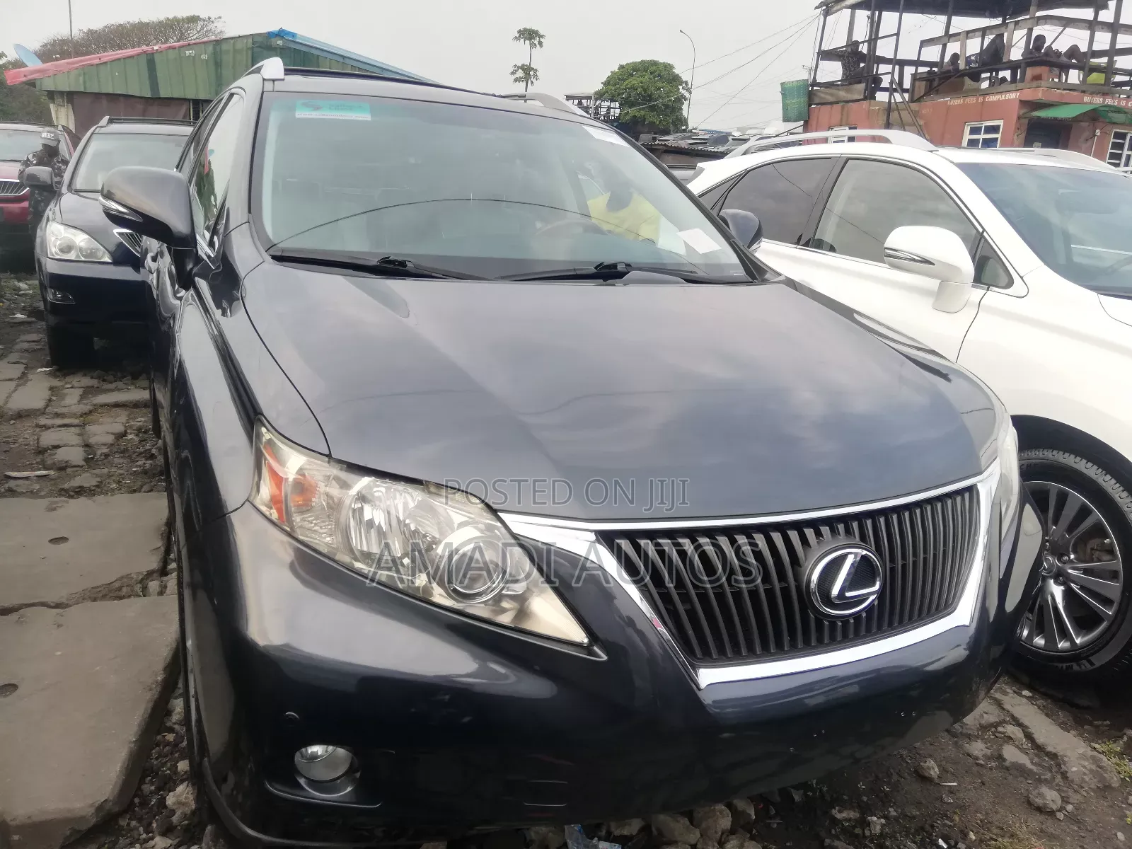 Lexus RX 350 2010 Gray