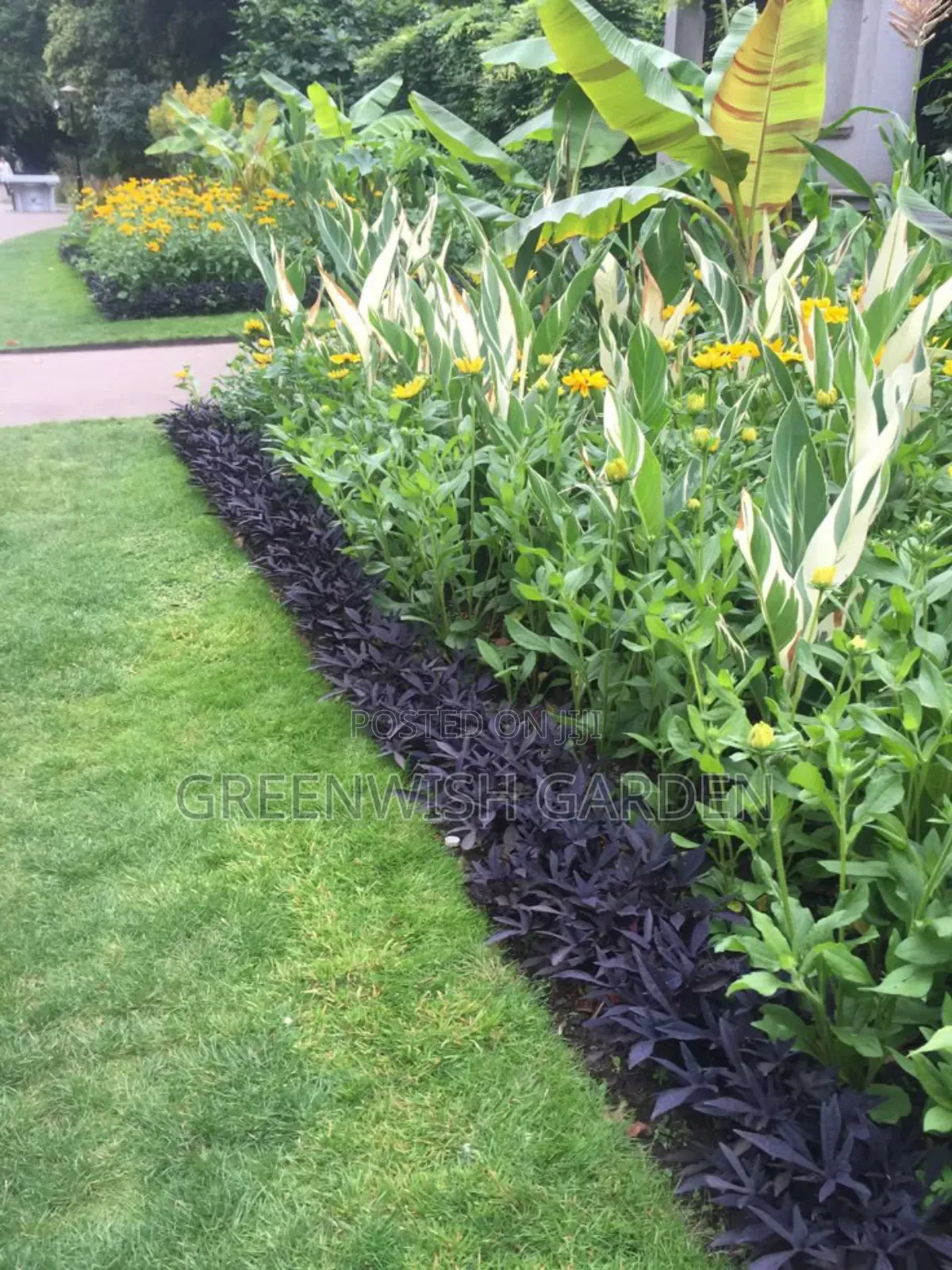 Gardening, Landscaping and Lawn