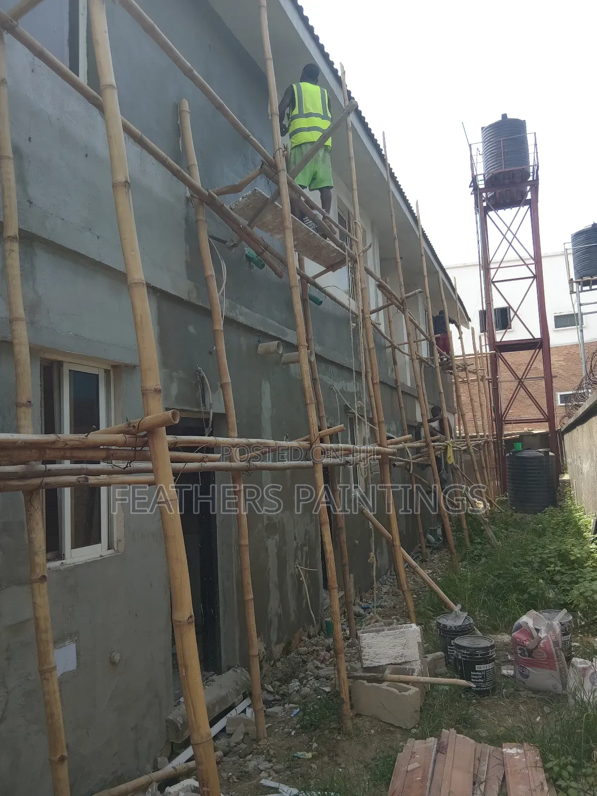 Wall Screeding and Painting