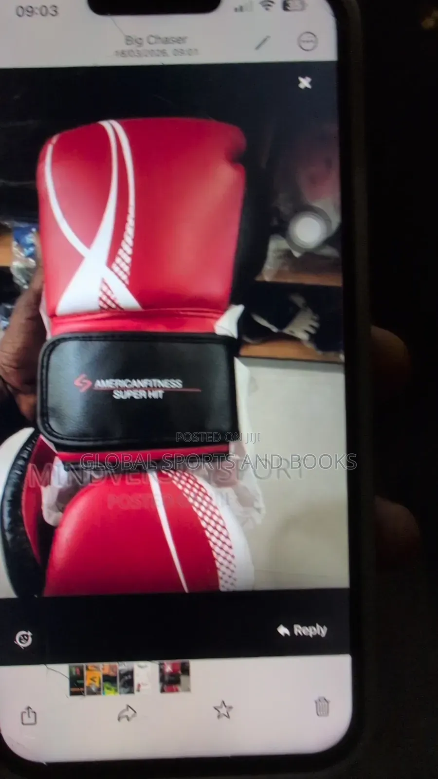 American Fitness Boxing Gloves