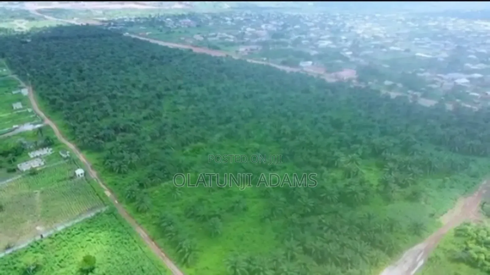 82.817acres of Palm Trees,Fish Pond Etc Farmland