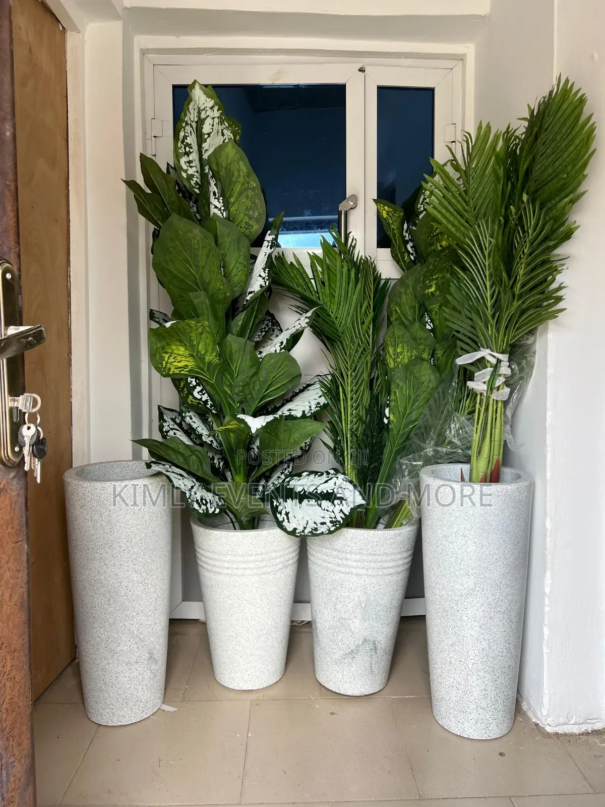 Rental Potted Plants For Events