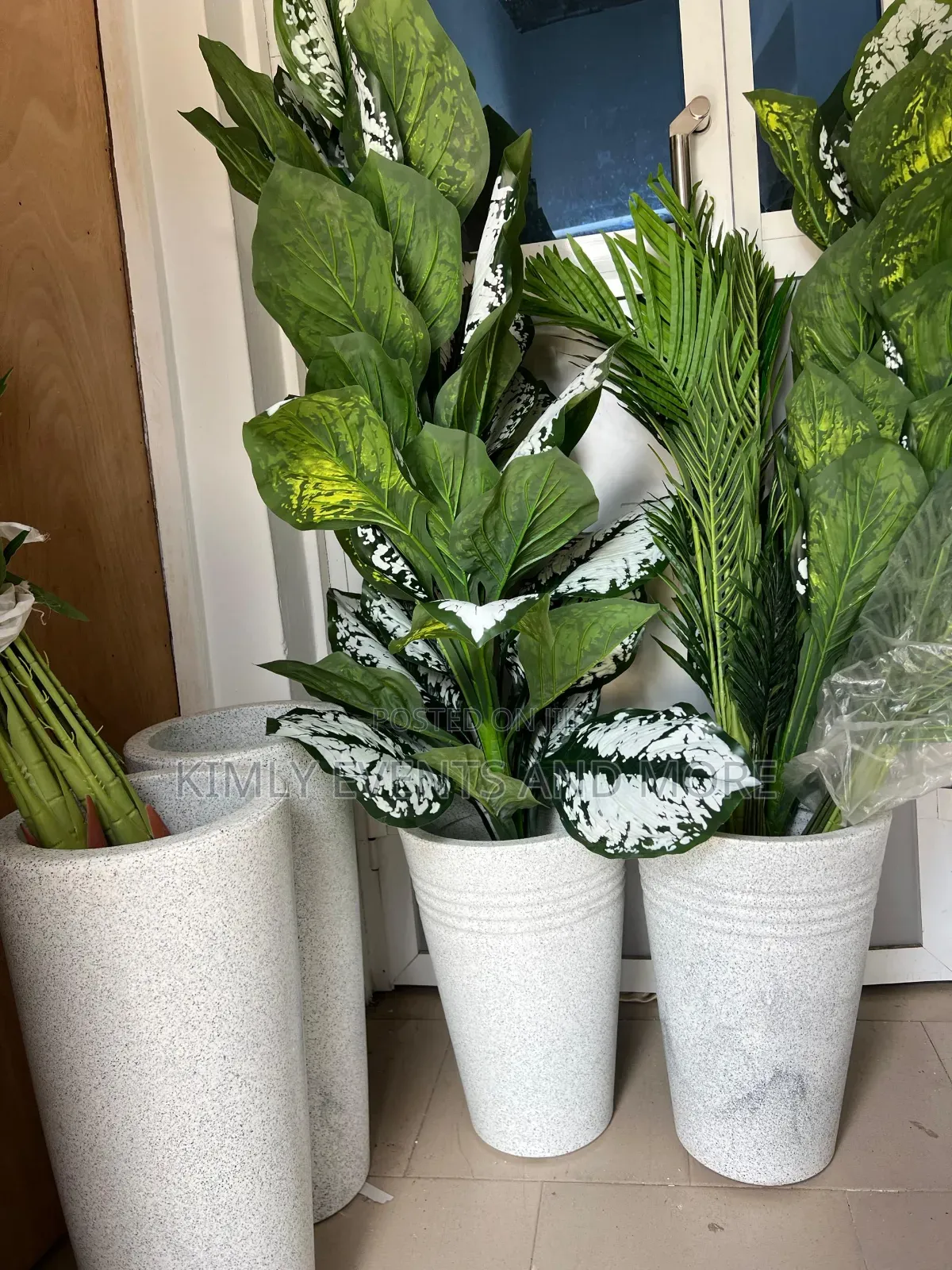 Rental Potted Plants For Events