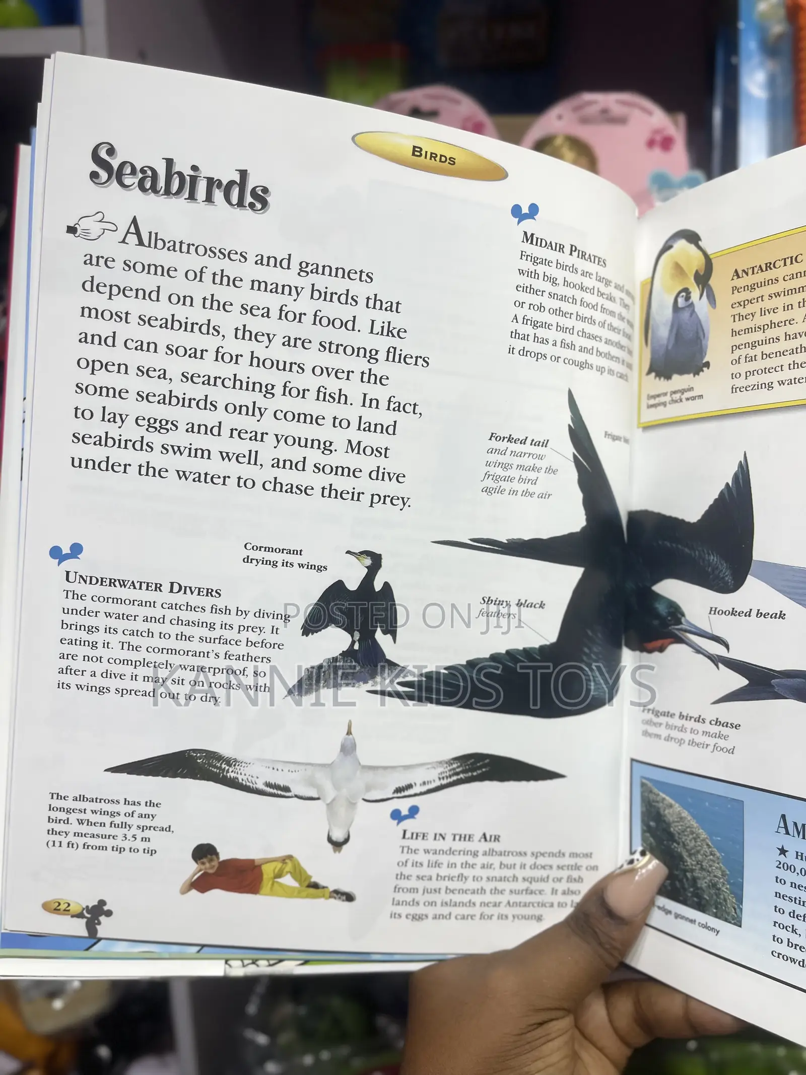 The Wonderful World of Knowledge _Birds