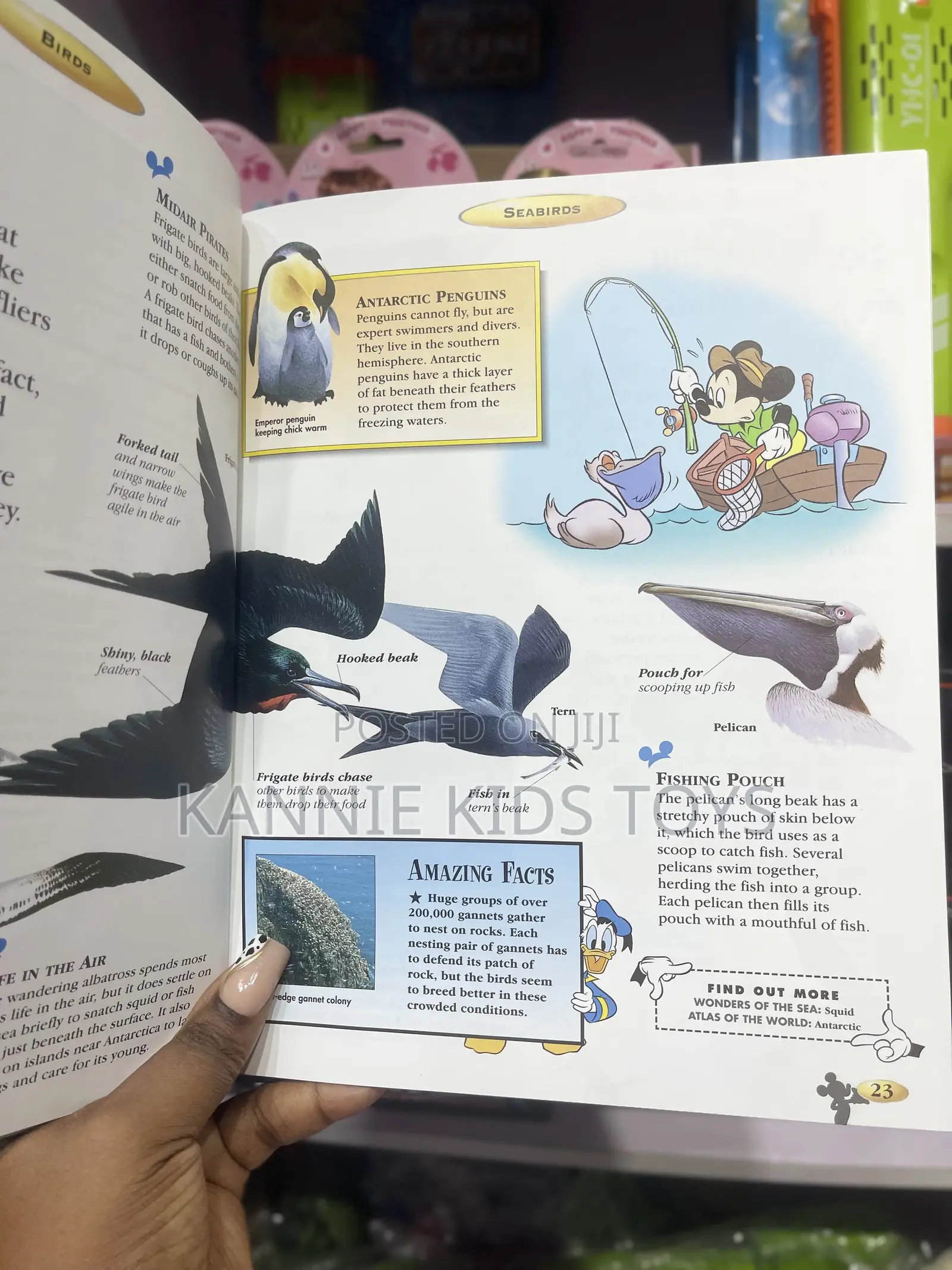 The Wonderful World of Knowledge _Birds