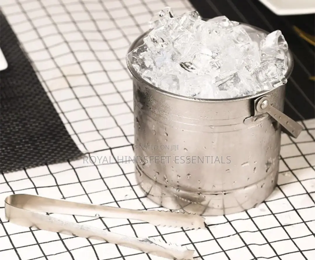 Stainless Steel Ice Bucket