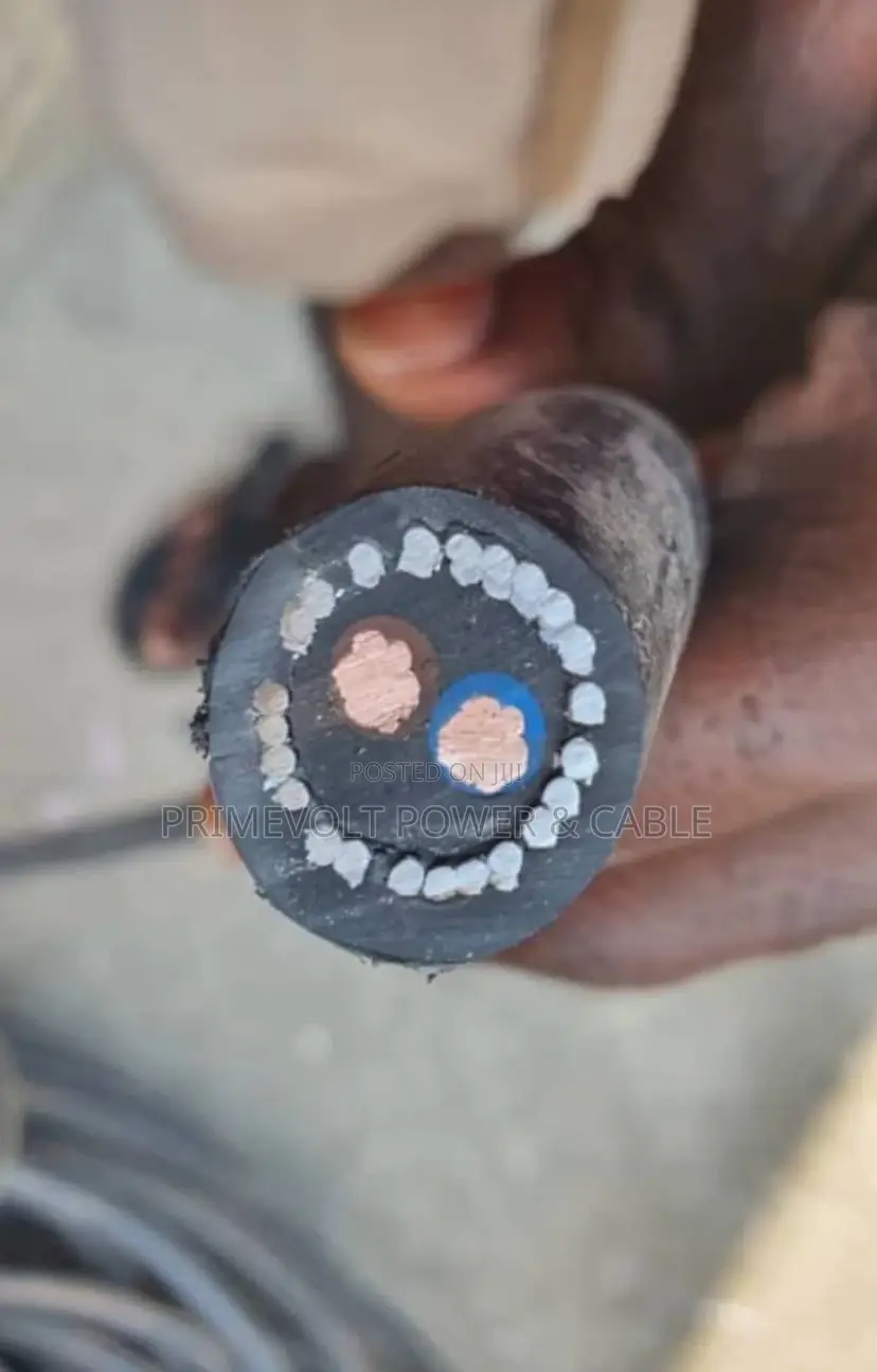 6mm 2core Armourde Cable