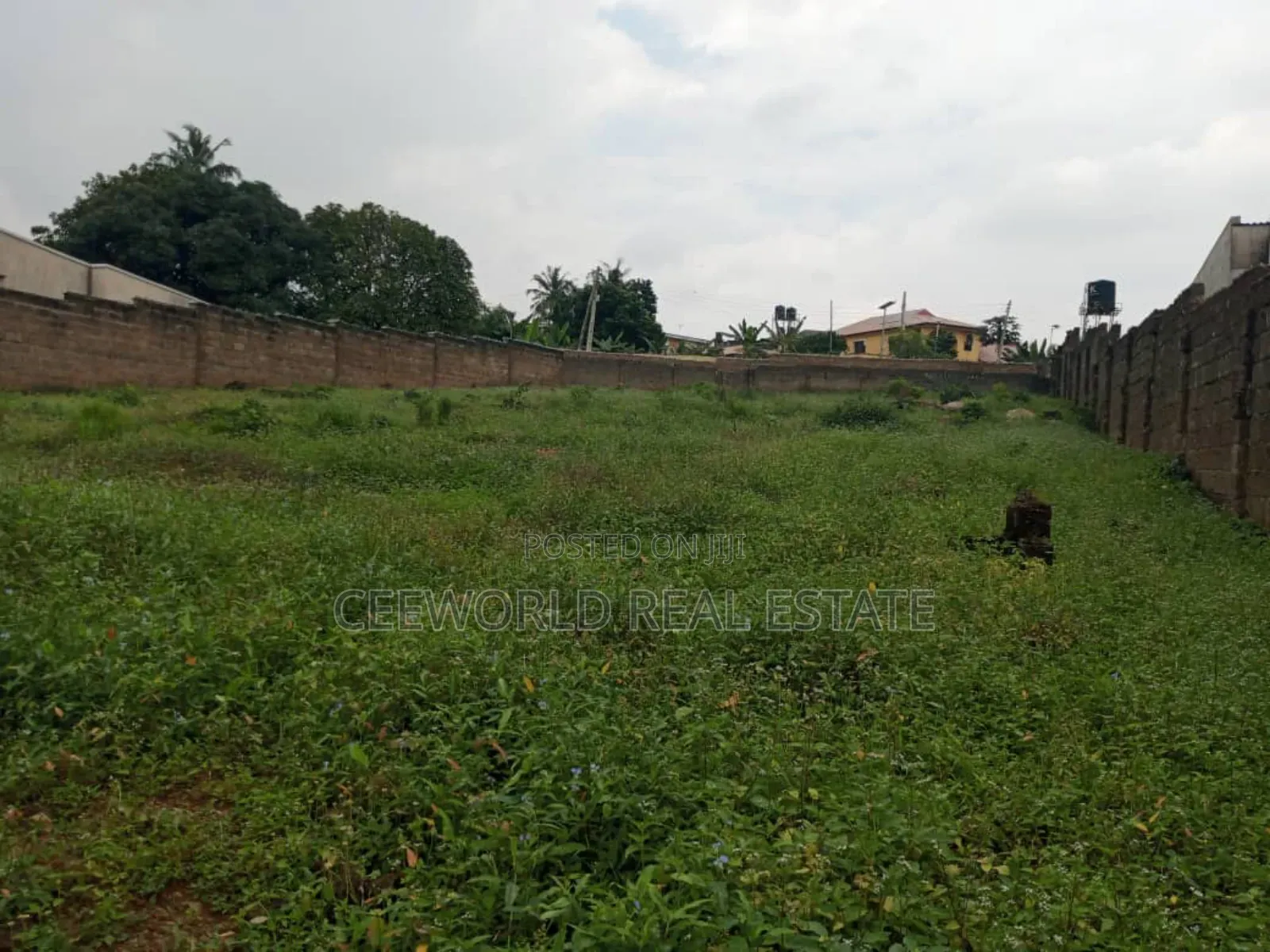 650sqm(With Around 1000sqm Setback Available for Sale at Akobo Bridge