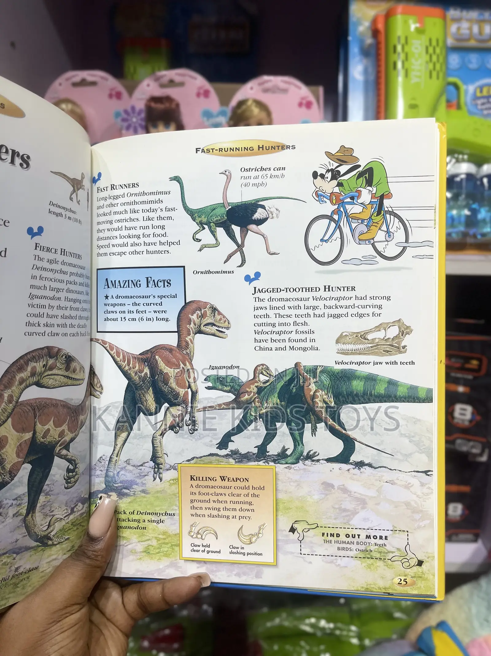 Kids Encyclopedia _ the Big Book of Everything