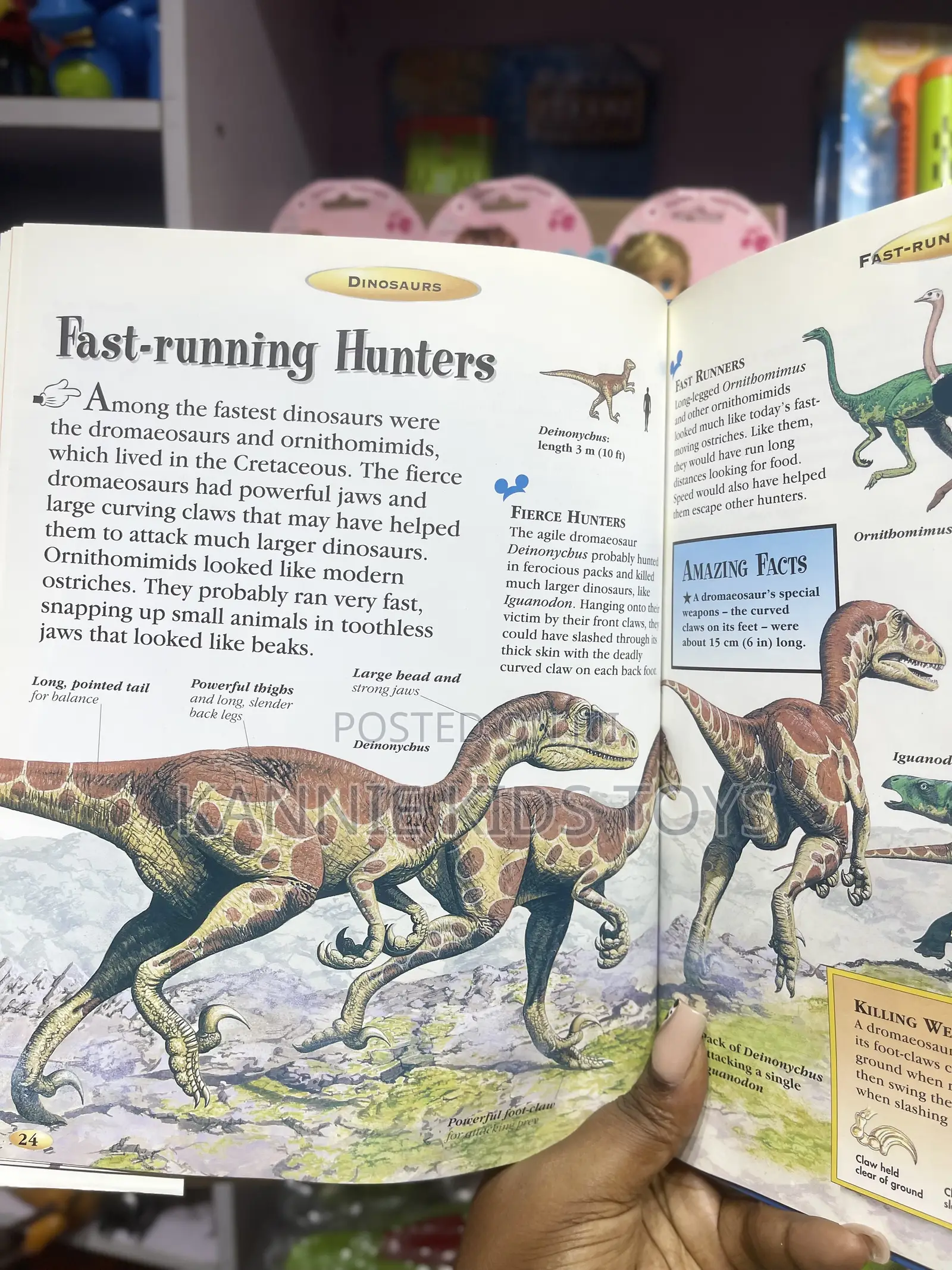 Kids Encyclopedia _ the Big Book of Everything