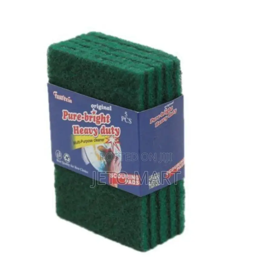 Heavy Duty Scouring Pad- Set of 5