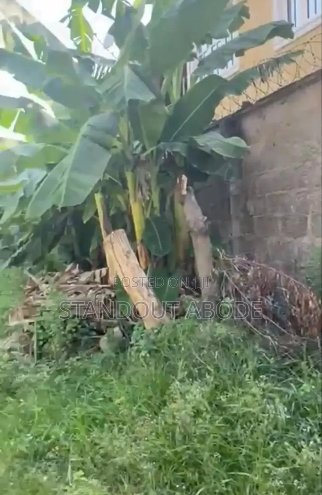 Buy A Land With A Setback Old 3 Bedroom In Egbeda