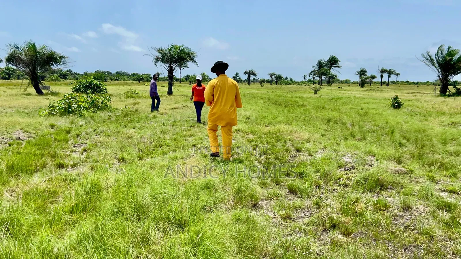 Land With Cofo File No and Registered Survey for Sale at Ode Omi