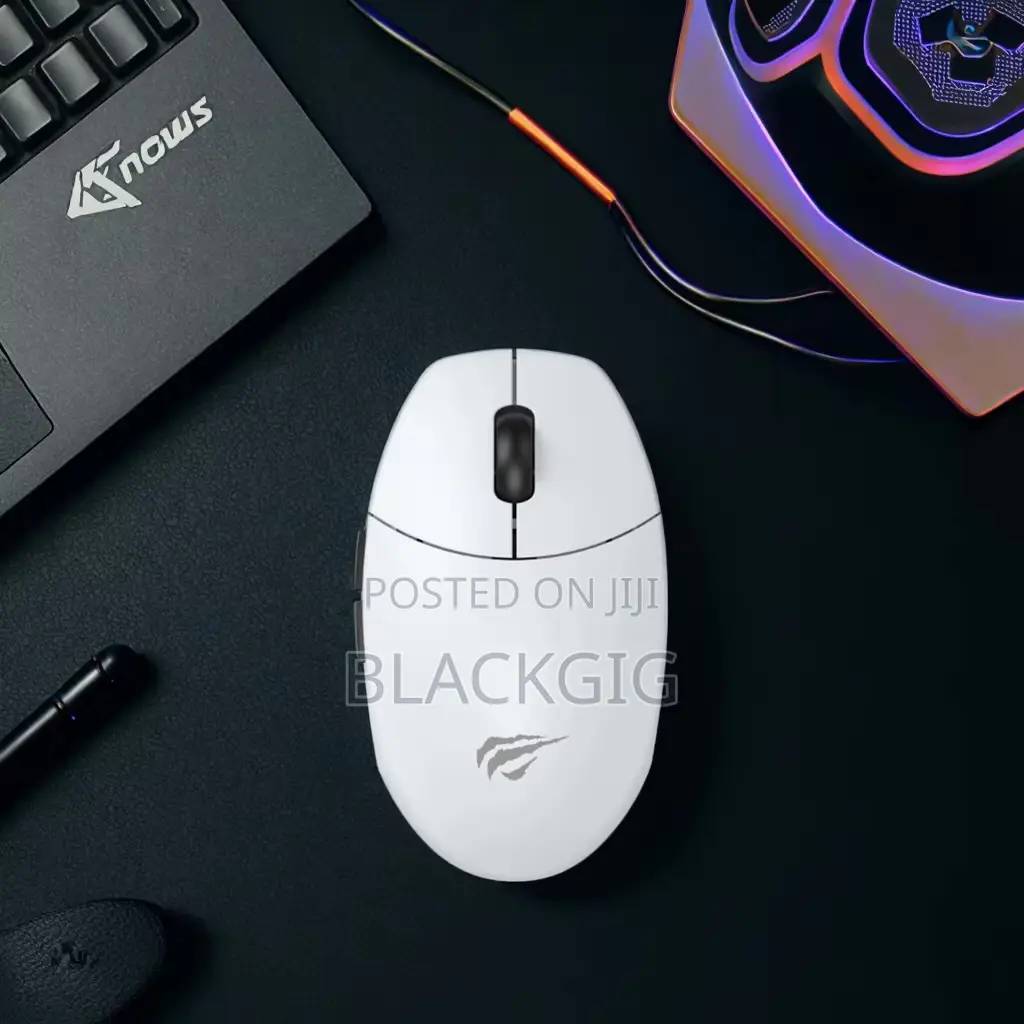 Rechargeable Dual Mode Wireless Mouse Bluetooth Havit Gaming Mouse