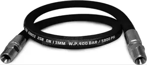High Pressure Hose for Gas