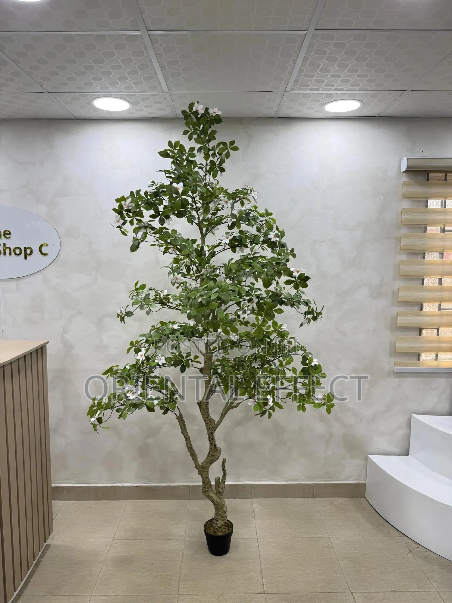 Artificial Gardenia Tree – Realistic Faux Plant for Home Décor Lagos