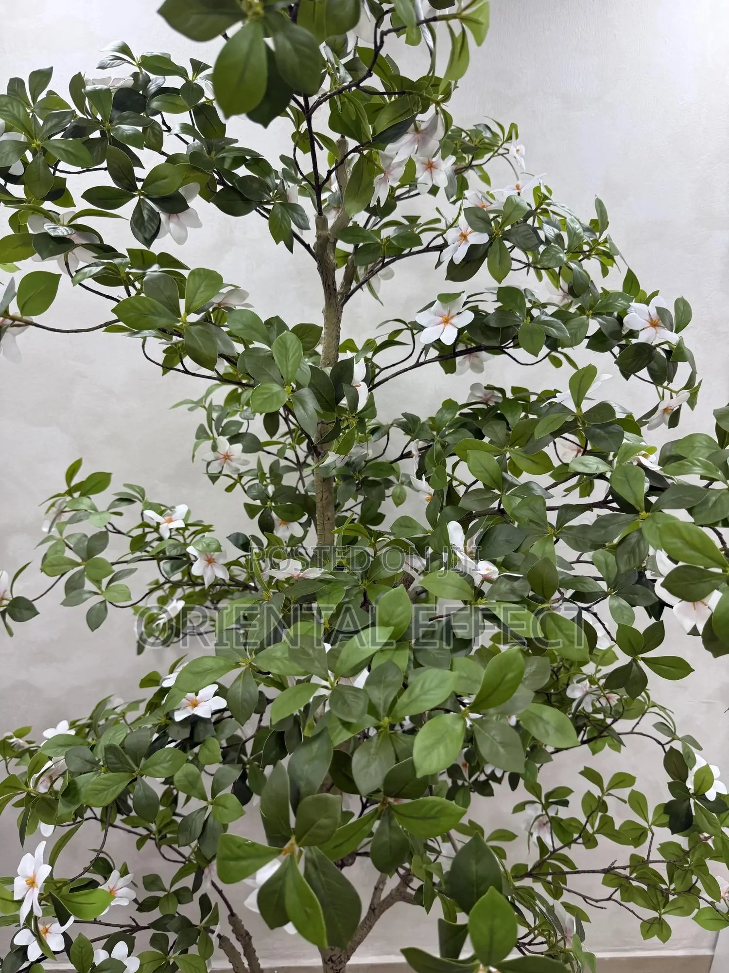 Artificial Gardenia Tree – Realistic Faux Plant for Home Décor Lagos