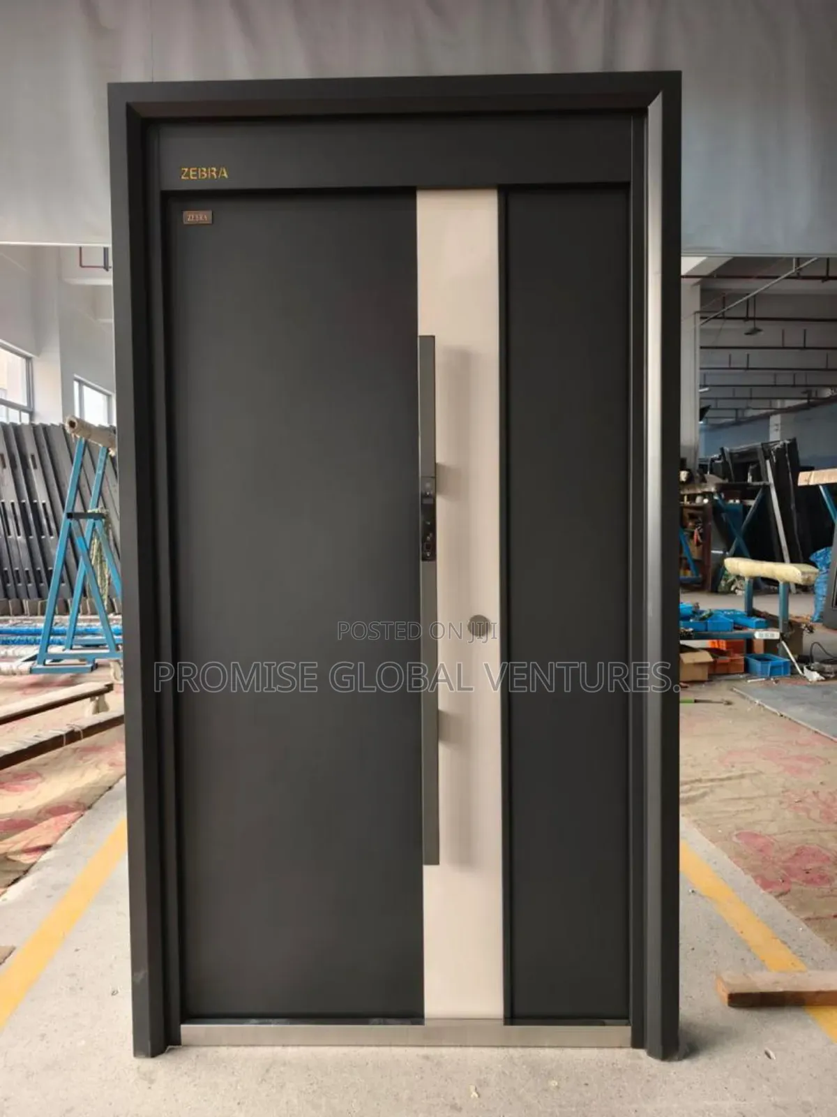Security Entrance Door