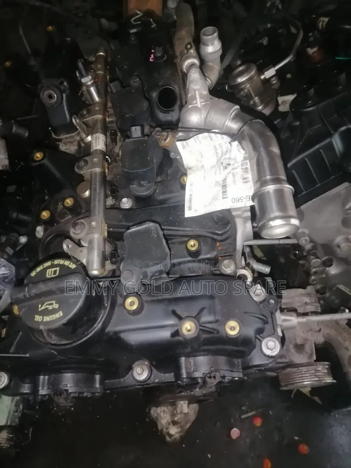 Jeep Wrangler 2021 2.0 4 Plug Available
