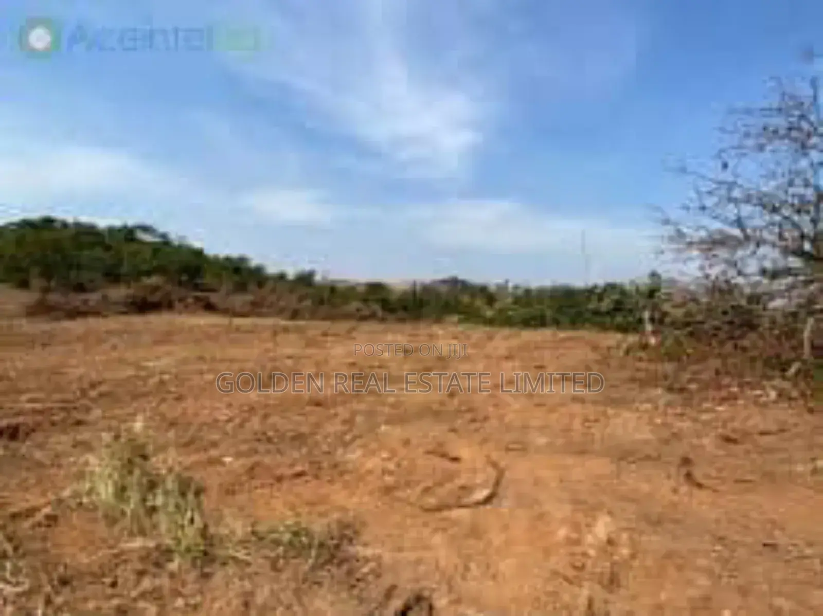 Do You Have Hectares/ Acres of Land to Sell ? Partner With Us Today.