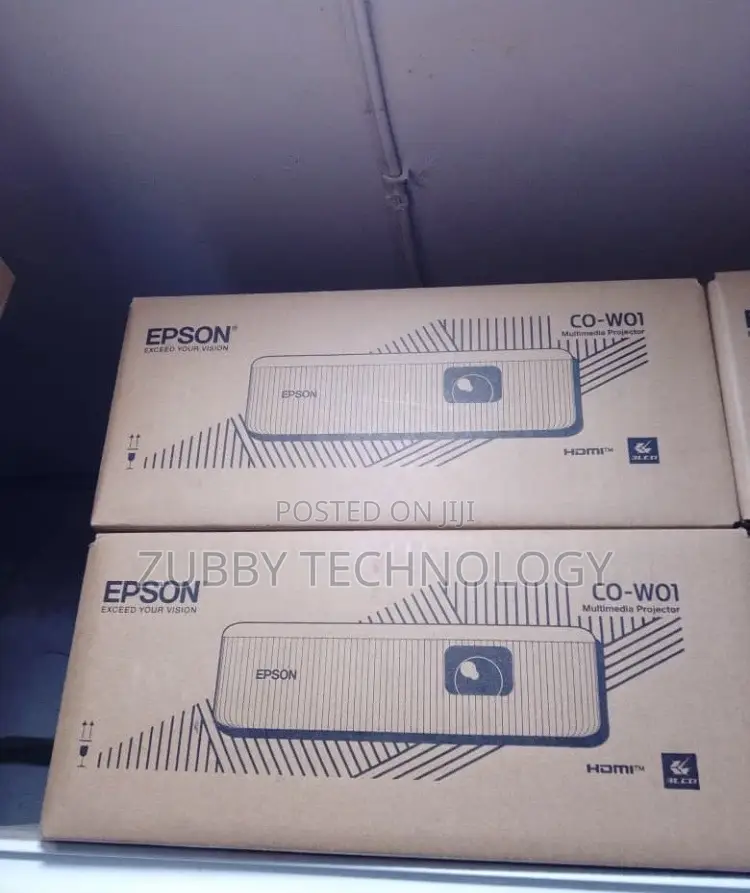 Epson Co-Wo1 3000lumen