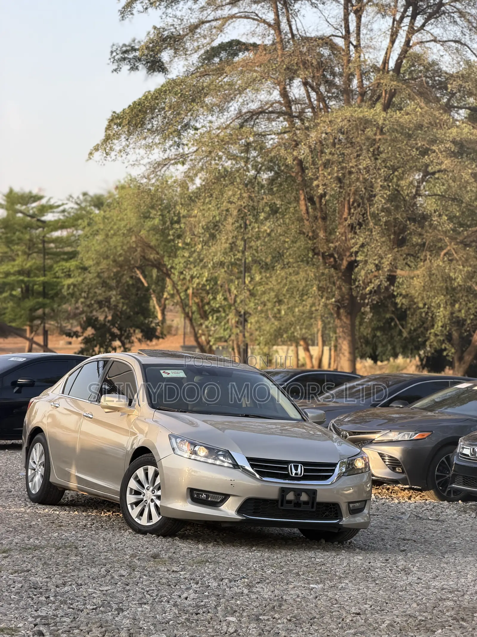 Honda Accord 2014 Gold