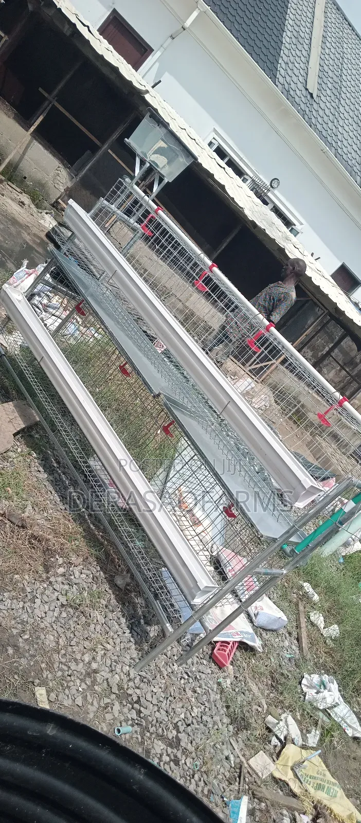 Galvanized Cage for Layers