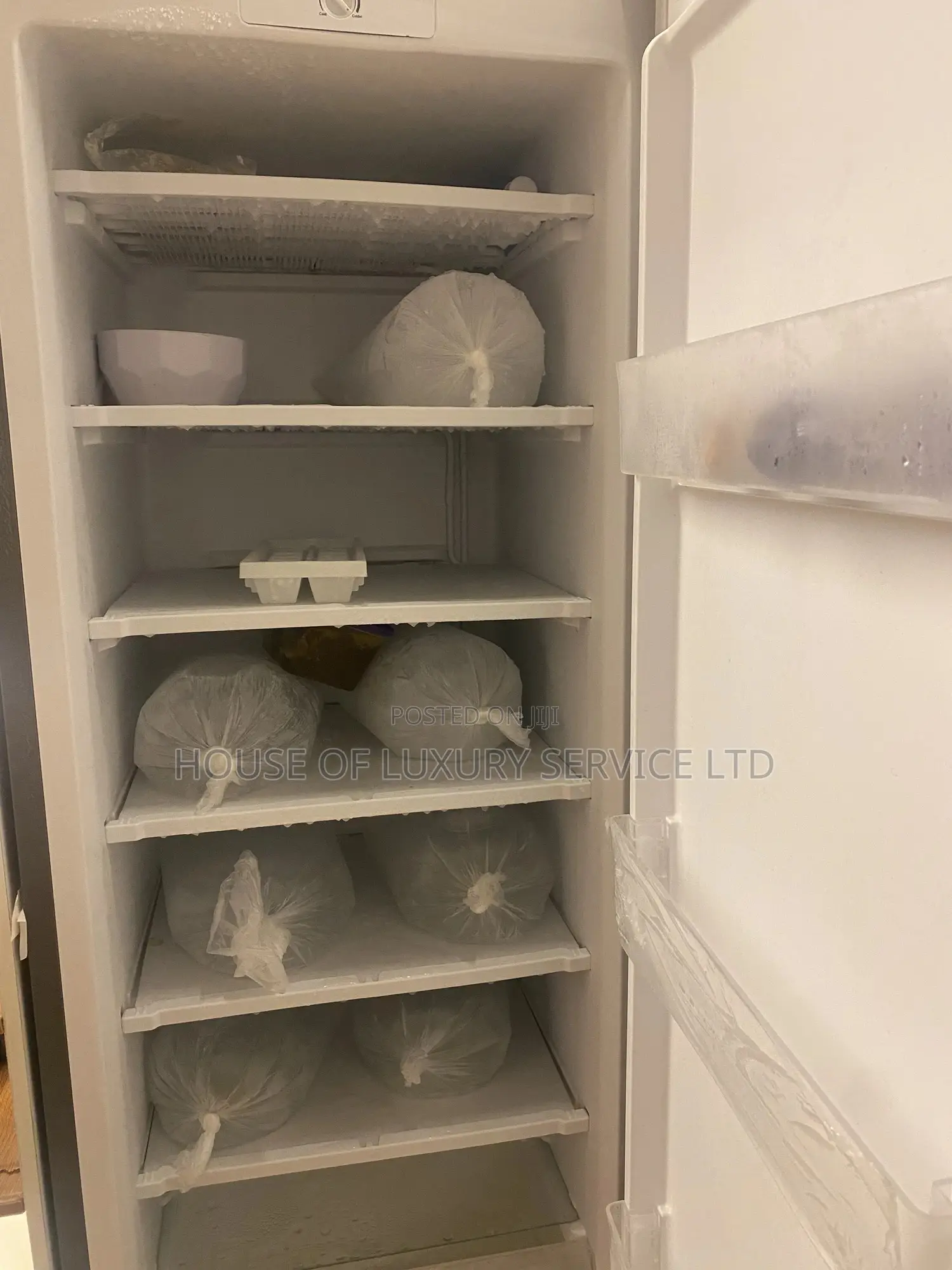 Clean Standing Freezer