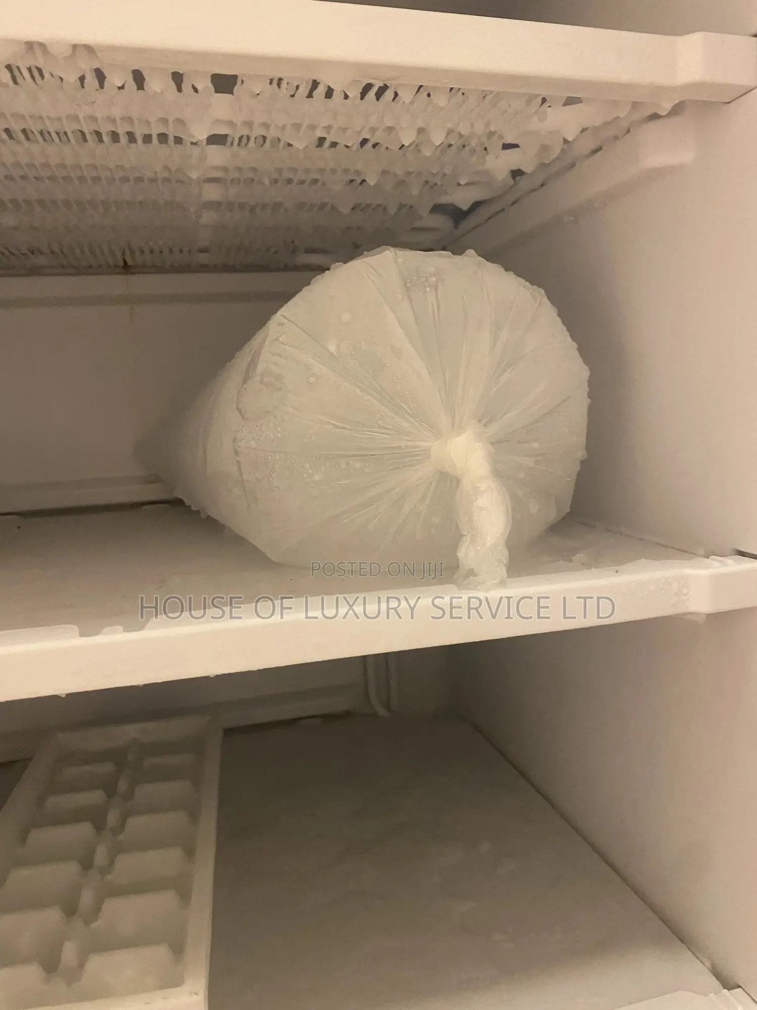 Clean Standing Freezer