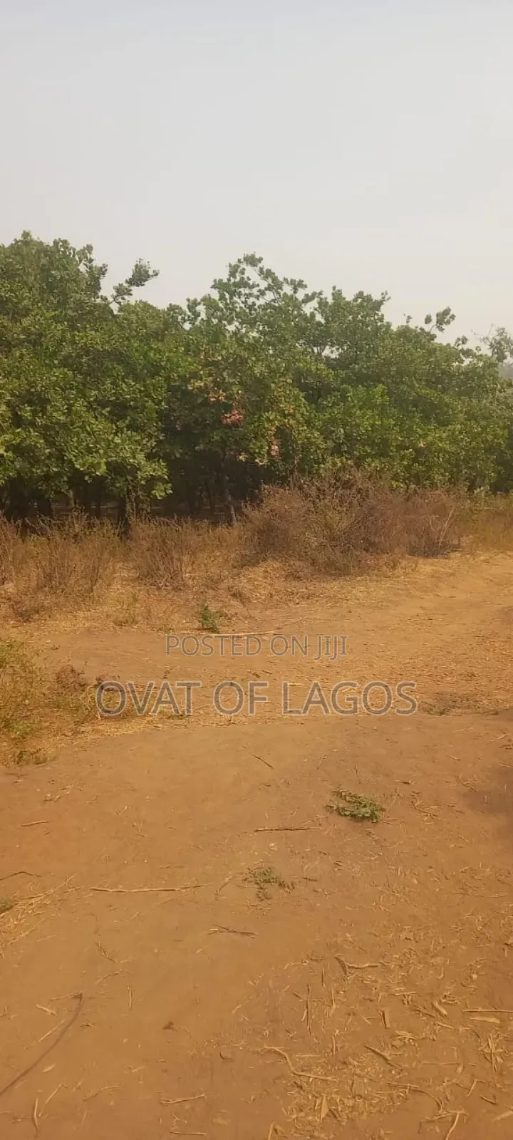 1.4 Hectares (14,000sqm) Schoolland