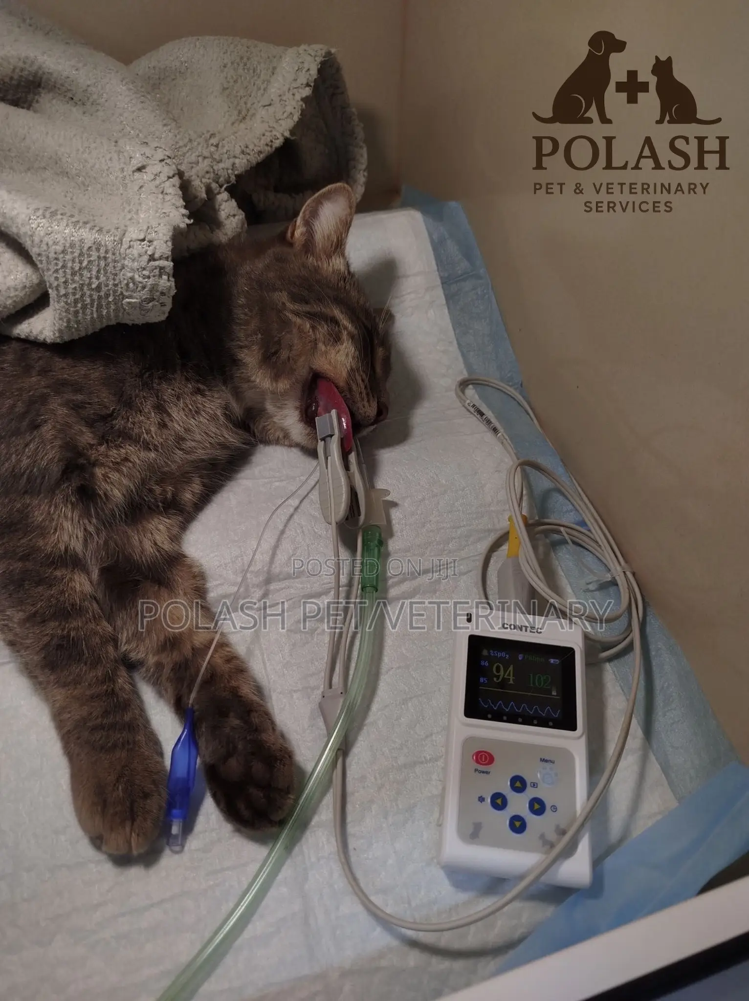  Your Pet’S Health, Our Priority