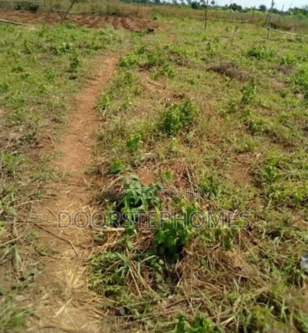 6.68 Hectares Mixed Use Land for Sale in Maitama 2
