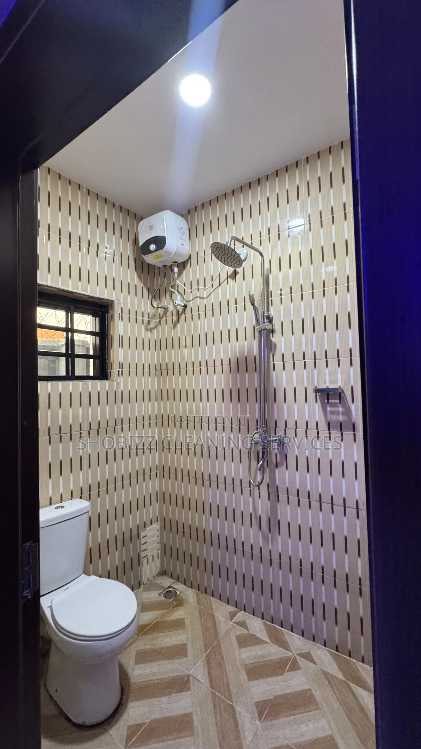 Toliet General Cleaning ,Home Care