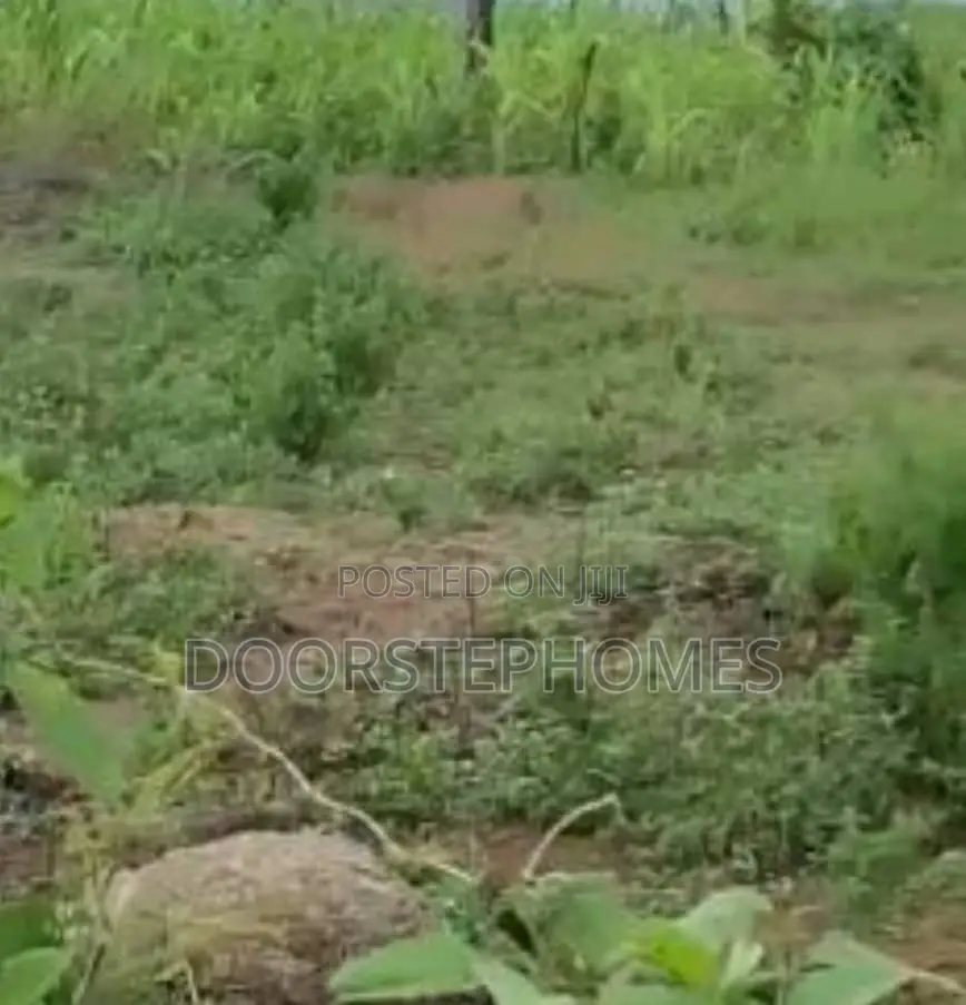1.18 Hectares Residential Land for Sale in Wasa