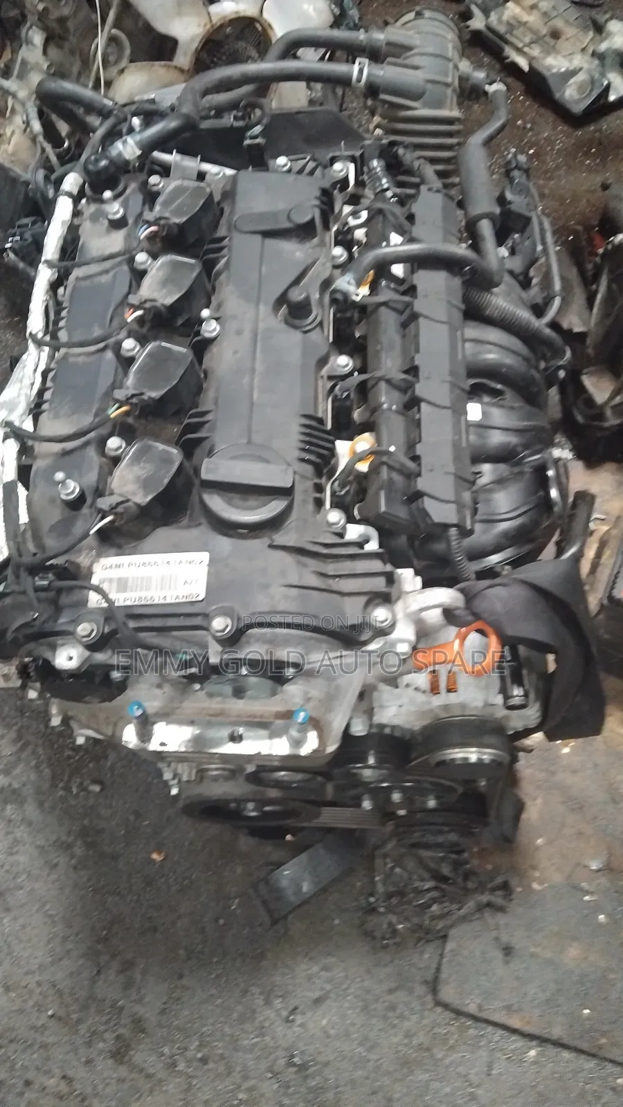 Kia Shortage/ Hyundai 2023 Engine Super Clean