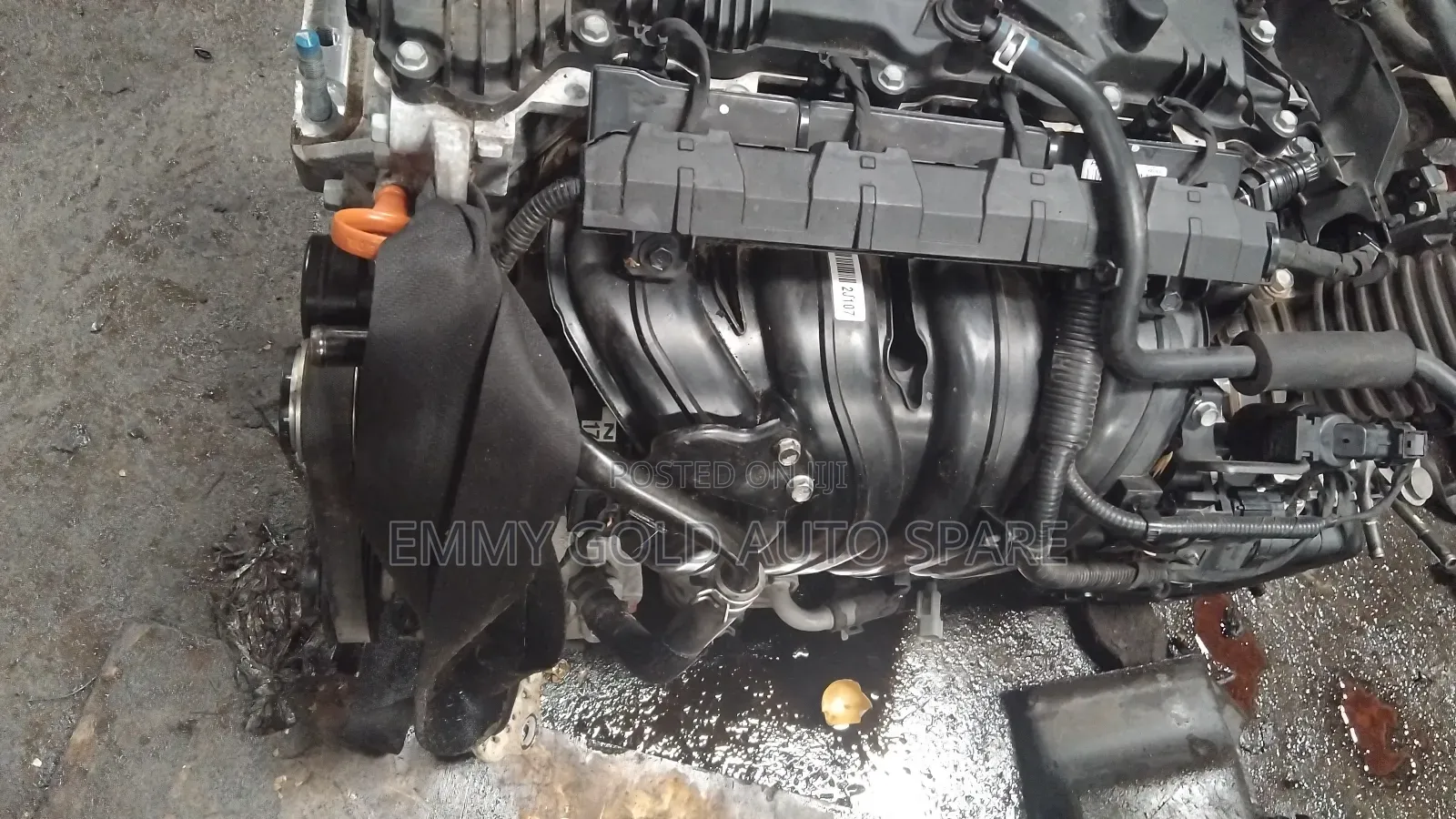 Kia Shortage/ Hyundai 2023 Engine Super Clean