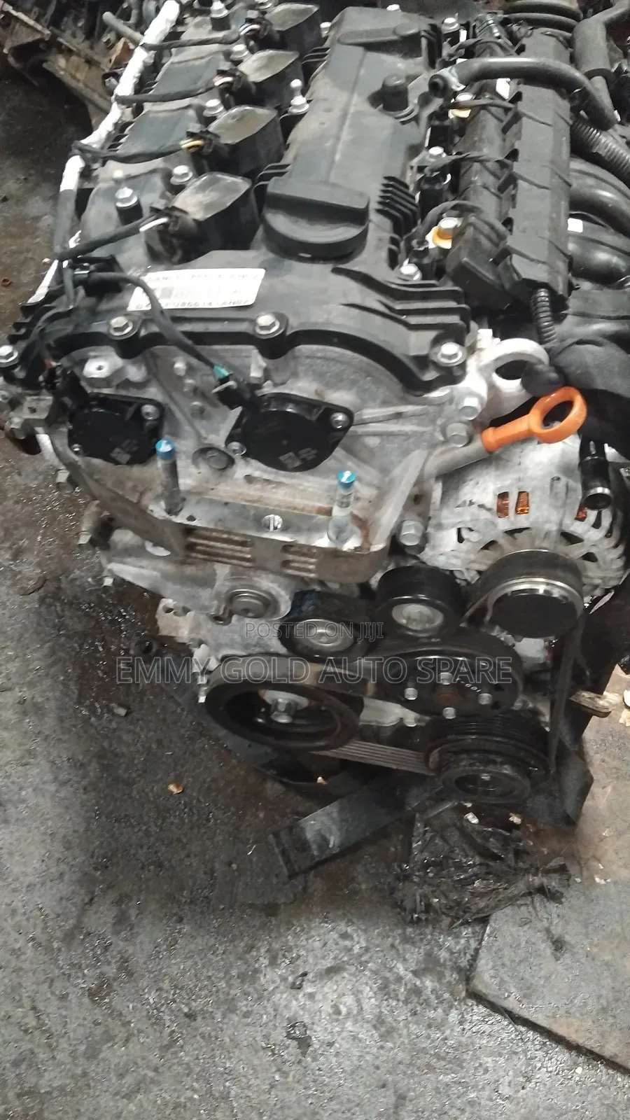 Kia Shortage/ Hyundai 2023 Engine Super Clean